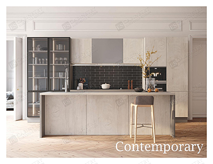 Contemporary kitchen cabinets | Euro style design